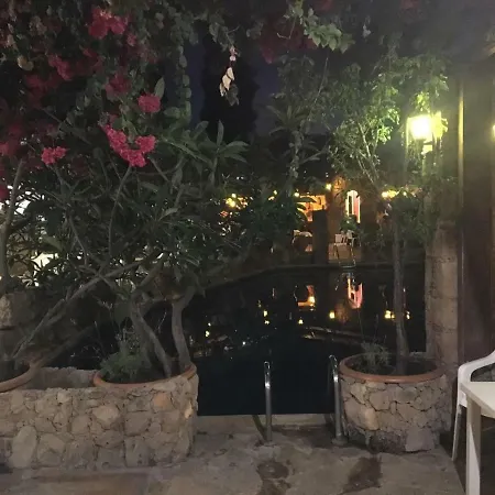 Roman Park Paphos